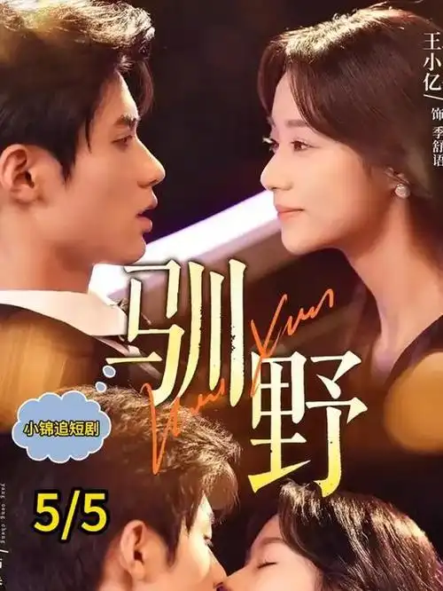 蝙蝠侠黑暗骑士崛起条目贴纸封面